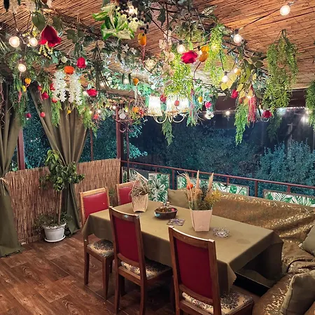 дени Вилла *