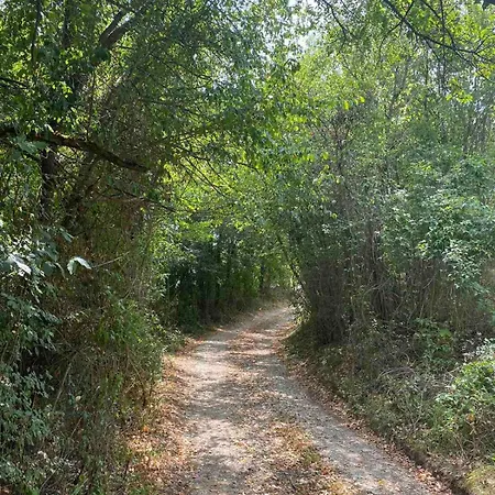 дени Вилла Chukovezer