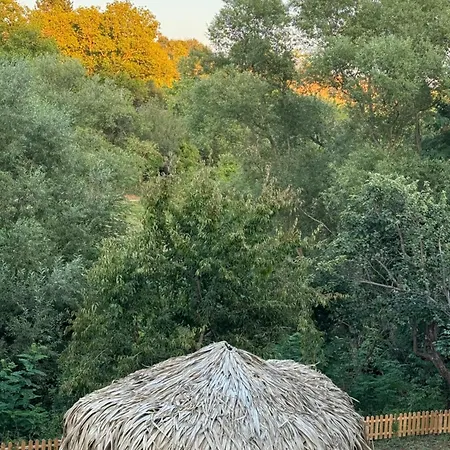 дени * Chukovezer