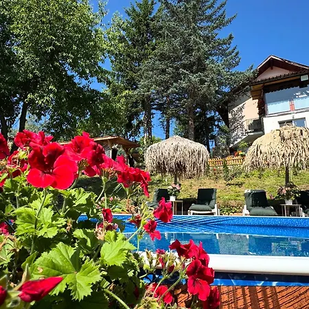 дени Villa