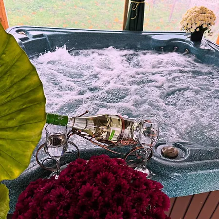 빌라 дени Chukovezer