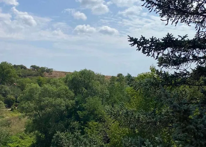 дени ヴィラ *