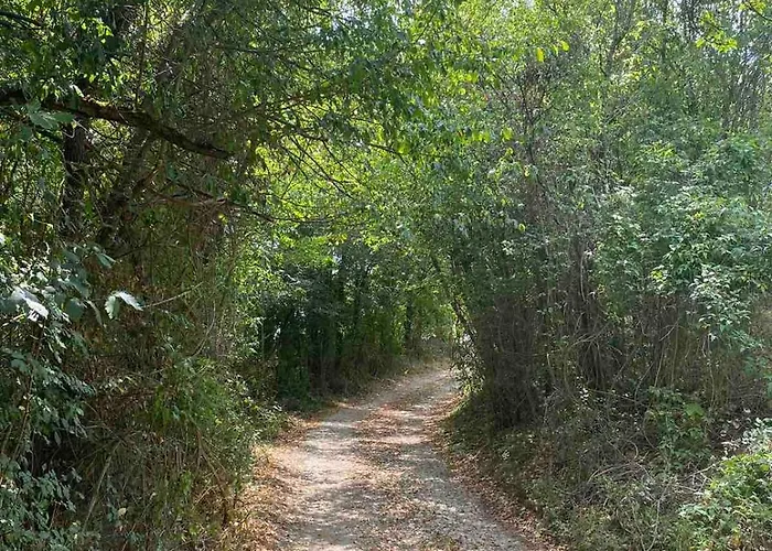 дени ヴィラ Chukovezer