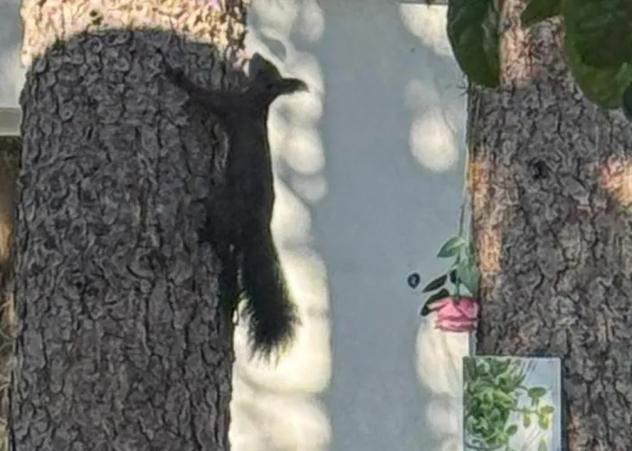 дени ヴィラ Chukovezer