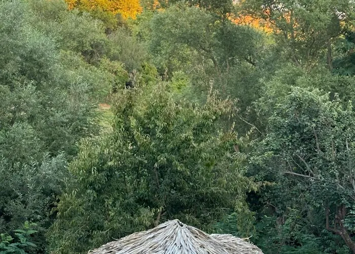 дени * Chukovezer